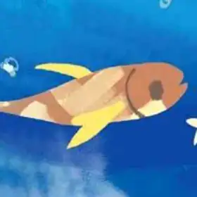 Фиш