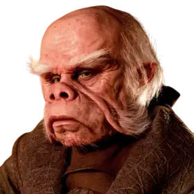 Куиил