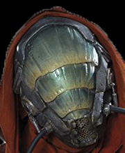 Sarco Plank