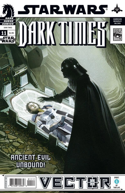 Обложка выпуска #11 Dark Times 11, 29 май 2008.